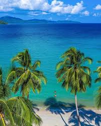 Port Barton Palawan Philippines Jetset For Good In 2020 Palawan