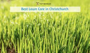 Trugreen is probably the first name you think of when someone mentions lawn care. The 13 Services For The Best Lawn Care In Christchurch 2021