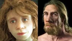 Does having more Neanderthal ancestors affect your appearance and cognitive  performance?