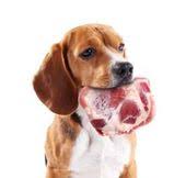 15 Ways To Ensure Your Dog Gets Only Good Quality Meat Infographic Raw Dog Food Recipes Food Animals Feeding Raw