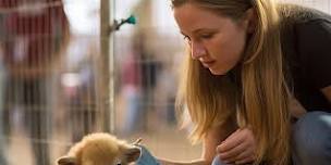Charity Bingo - Perth Animal Rescue