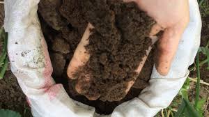 Maybe you would like to learn more about one of these? The Benefits Of Chicken Manure Youtube