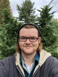 Some black market cannabis growers are ready to move into Vermont's legal  market