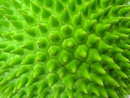 Arturo Jafet Ramírez Cortes