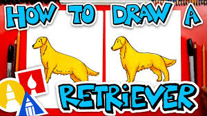How To Draw A Golden Retriever Youtube Email a photo of your art: