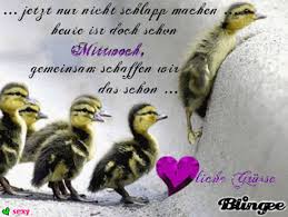 Guten Morgen Ente Bilder Gb Bilder Gb Pics Gastebuchbilder