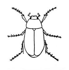 Find brown stink bugs community pest news bug coloring page. Printable Bug Coloring Pages Coloring Me Coloring Pages Galleries
