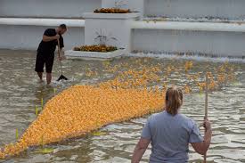 4869 jacobson dr, jackson, mi 49201. Ducky Derby Photo Gallery Jtv Jackson