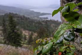 Find the right spot for your fire, find the fuel for your fire, elevate your fire, lay the fire, and enjoy the fire! Heavy Rain In Okanagan Results In Slowest Start To Fire Season In Four Years Penticton Western News