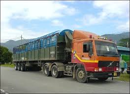 Learner driving license (ldl) atau lesen belajar memandu membolehkan seseorang individu belajar memandu mengikut kelas yang ditetapkan seperti b, b2, d dan e di bawah pengawasan jurulatih. Jenis Kenderaan Di Jalan Raya Pendidikan Keselamatan Jalan Raya Sekolah Rendah