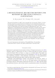 Image result for Chrysophyllum welwitschii