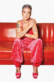 It is an anagram of her first name and taken from the halsey street subway stop and street in brooklyn. ØªÙ†Ø²ÙŠÙ„ Ù…Ø¬Ø§Ù†ÙŠ Ù‡Ø§Ù„Ø³ÙŠ Ù‡Ø§Ù„Ø³ÙŠ 6 Png