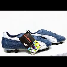 Image result for Medium Steel Blue 2001 Puma
