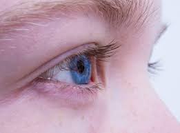 Les allergènes tels que le pollen et la poussière peuvent provoquer une enflure des. Inflammation Des Paupieres Blepharite Soigner Par Les Plantes