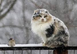 Сегодня, 3 августа, погода в одессе будет под влиянием атмосферного фронта. Prognoz Pogody V Odesse Na 6 7 Fevralya 2021 Goda Ozhidaetsya Sneg S Dozhdem Odessa Vgorode Ua