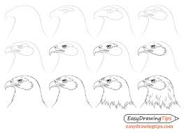 Details and texture step 18. How To Draw An Eagle Head Step By Step Easydrawingtips