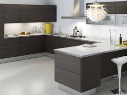 lovable modern kitchen cabinets canada