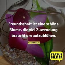 Freundschaft Ist Eine Schone Blume Die Viel Zuwendung Braucht Um Aufzubluhen Freundschaftsspruc Spruche Uber Freundschaft Freundschaftsspruche Freundschaft