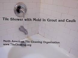 We did not find results for: Get Rid Of Mildew In Shower Caulk Orange Mold