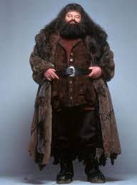 Would Avada Kedavra Work On Hagrid Quora Harry survived avada kedavra again when he stopped the avada kedavra with his expelliarmus (disarming charm), and initiated priori incantatem (a sequence of events that occurs when two wands. would avada kedavra work on hagrid quora