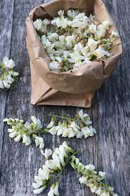Plant Based Diet 16 Edible Flowers To Grow Gardenista Edible Flowers Flower Food Plants