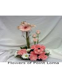 Maybe you would like to learn more about one of these? Puppy Love In San Diego Ca Flowers Of Point Loma