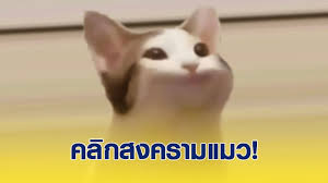 Check spelling or type a new query. 22tneu2pjnl0zm