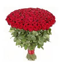 Pure Love Beautiful Flowers Images Beautiful Flowers Images Hd Red Roses