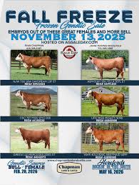 Hereford World - American Hereford Association