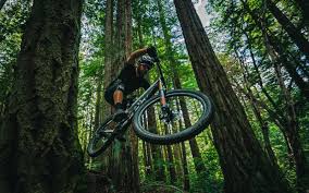 Yes, if you crossed formula one with. How To Choose The Best Mountain Bike For Your Riding Style Felt Bicycles
