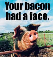 The Top 12 Excuses People Give For Not Going Vegan Our Responses To Them Is The Top Excuse Against Veganism Is That Going Vegan Mercy For Animals Animals