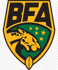 Escudo_aster_brasil.png ‎ (361 × 361 píxeis, tamanho: American Football Background