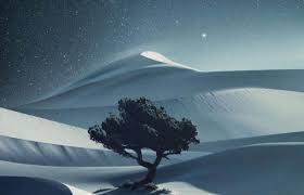 Aceste cele mai frumoase imagini., pentru că nimic nu este mai frumoasă în lume decât fotografia ca amintire! Cele Mai Frumoase 11 Poze Din Lume Cand Arta Creativitatea Si Spontaneitatea Se Intalnesc Apare Superlativul Galerie Foto È™tiri Zilnic