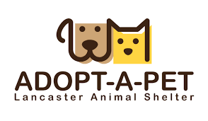 To help educate the dallas public on proper animal care and promote spaying and neutering of all pets. Animal Services Lancaster Tx Official Website