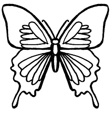 Cara menggambar kupu kupu 14 langkah dengan gambar wikihow via id.wikihow.com. Mewarnai Gambar Sketsa Kupu Kupu Cantik Terbaru Kataucap