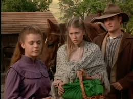 Dr Quinn Medicine Woman Tv Series 1993 1998 Imdb