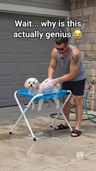 Dog Holder for Shower | TikTok