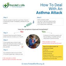 Seven Top Tips To Help You Control Your Asthma Hay Fever Season