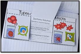 Pin On Science For Secondary Grades Biology Chemistry Physics And More