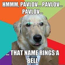 Non Psych Majors Totally Don T Get Your Hilarious Jokes Funny Friday Memes Psychology Jokes Funny Dog Memes