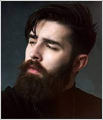 beard styles ideas ties bartstile fur manner herren frisuren mit bart barte und haare