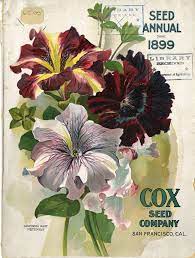 Pin On Vintage Seed Packets And Catalogs