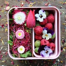 Fabulous organic edible flowers jan hand picked.weddings/celebrations. How To Use Edible Flowers Breakfast With Flowers