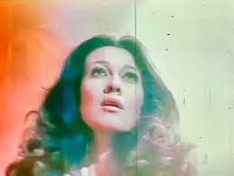 Golden Girls DVD collection for binge watching