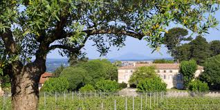 Media in category château de selles. Domaines Ott Chateau De Selle La Route Des Vins De Provence
