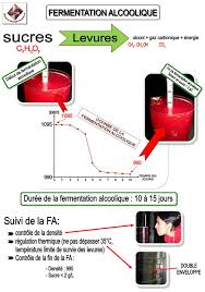 Epingle Par Eric Sur Viticulture Et Vinification Winegrowing Winemaking Fermentation Alcoolique Alcool Fermentation