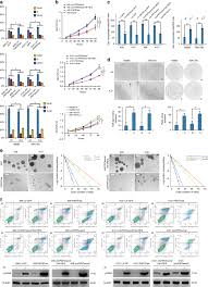 A british imperial capacity measure (liquid or dry) equal to 4 gills or 568.26 cubic centimeters. A Peptide Encoded By Circular Form Of Linc Pint Suppresses Oncogenic Transcriptional Elongation In Glioblastoma Nature Communications