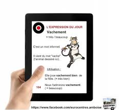 Vachement French Expressions French Education Learn French