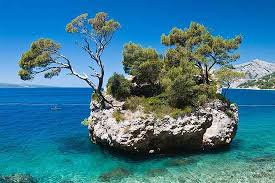 Lo dicono anche gli ospiti: Case Vacanze In Makarska Croazia Appartamenti In Affitto