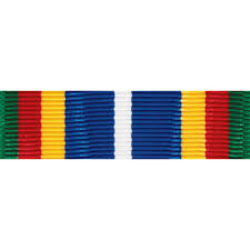 Image result for Insignia White 1990 US Government